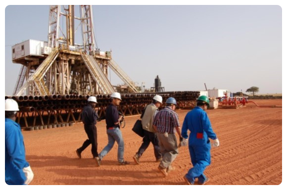 Oil